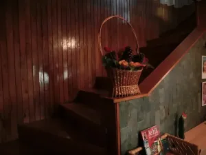 Prodej rodinného domu, Boršice, 870 m2