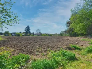 Prodej pozemku pro bydlení, Žáky, 1125 m2