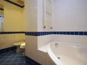 Pronájem bytu 2+1, Praha - Vinohrady, Anny Letenské, 54 m2