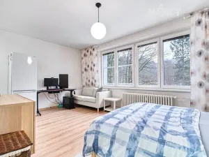 Pronájem bytu 1+kk, Orlová, Květinová, 31 m2