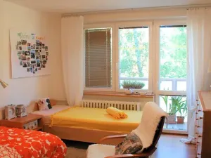 Prodej bytu 2+kk, Ostrava, Karola Šmidkeho, 74 m2