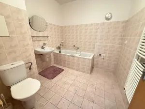 Pronájem bytu 1+kk, Praha, Jeřabinová, 43 m2