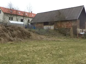 Dražba louky, Trhový Štěpánov, 705 m2