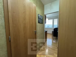 Pronájem bytu 1+1, Brno, Teyschlova, 41 m2