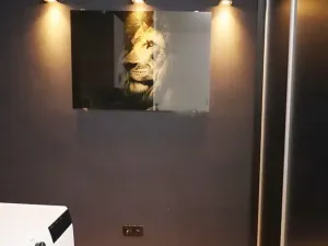 Prodej bytu 1+kk, Karlovy Vary, Sadová, 50 m2