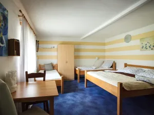 Prodej rodinného domu, Žabovřesky, 950 m2