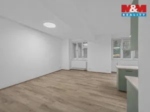 Prodej bytu 1+kk, Praha - Staré Město, Dlouhá, 46 m2