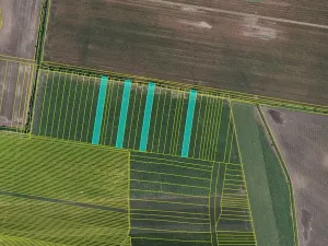 Prodej pole, Blučina, 19297 m2