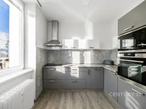 Pronájem bytu 2+1, Plzeň, Krejčíkova, 50 m2