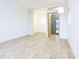 Pronájem bytu 2+kk, Chomutov, Holešická, 42 m2