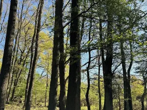 Prodej pozemku, Čížkov, 22012 m2