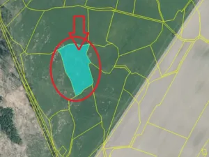 Prodej pozemku, Čížkov, 22012 m2