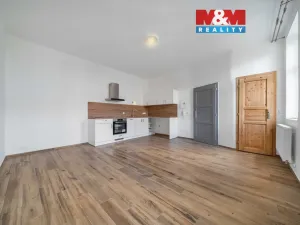 Pronájem bytu 1+kk, Plzeň - Východní Předměstí, 24 m2