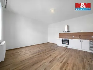 Pronájem bytu 1+kk, Plzeň - Východní Předměstí, 24 m2