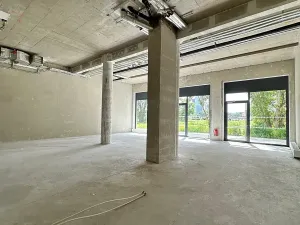 Pronájem obchodního prostoru, Brno, Opuštěná, 134 m2