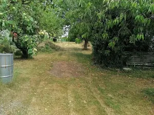 Prodej pozemku pro bydlení, Dobřany, 1205 m2