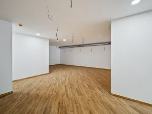 Prodej restaurace, Praha - Žižkov, Olšanská, 352 m2