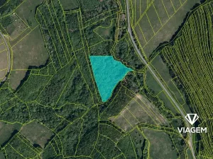 Prodej lesa, Doubravy, 20718 m2