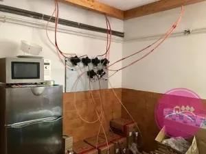 Pronájem obchodního prostoru, Olomouc, Karolíny Světlé, 55 m2