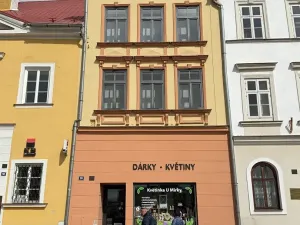 Prodej rodinného domu, Broumov, Mírové náměstí, 916 m2