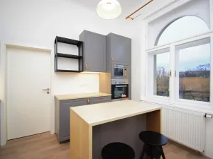 Pronájem bytu 1+1, Praha - Vinohrady, Polská, 42 m2