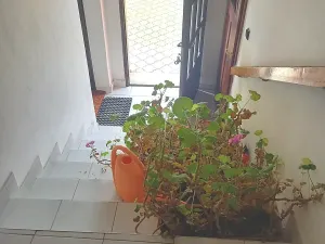 Prodej rodinného domu, Pasohlávky, 210 m2