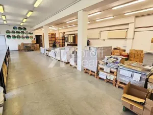 Prodej komerční nemovitosti, Opava, Slezská, 1385 m2