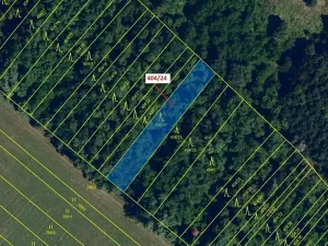 Dražba lesa, Ivančice, 741 m2