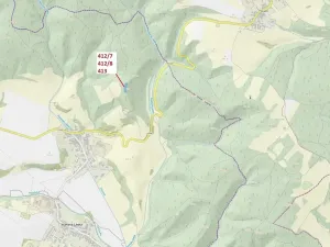 Dražba lesa, Vranová Lhota, 3744 m2