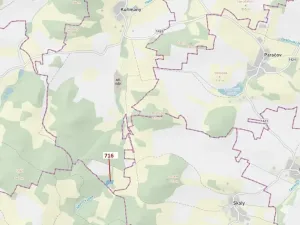 Dražba lesa, Kuřimany, 4499 m2