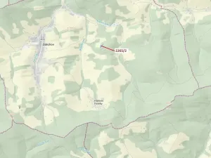 Dražba lesa, Zděchov, 2225 m2