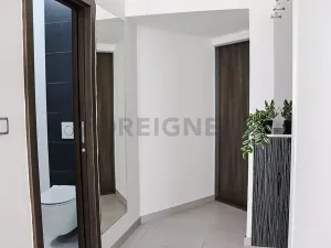 Pronájem bytu 1+kk, Brno, Jakubské náměstí, 32 m2