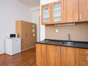 Pronájem bytu 1+kk, Praha - Žižkov, Vlkova, 25 m2