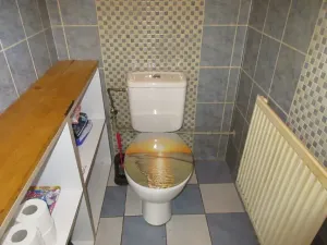 Prodej rodinného domu, Protivín, Nad Rybníkem, 281 m2