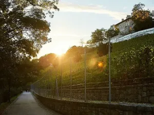 Prodej atypického bytu, Praha - Nusle, Bělehradská, 43 m2