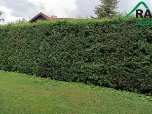 Prodej chaty, Javorník, 80 m2