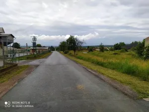 Prodej komerčního pozemku, Dolní Ředice, 114836 m2