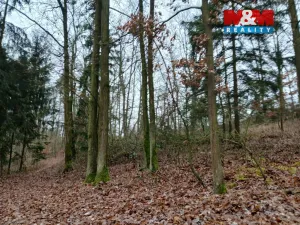 Prodej lesa, Krašlovice, 9178 m2