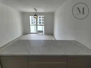 Pronájem bytu 2+kk, České Budějovice, Branišovská, 67 m2