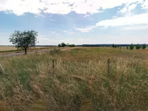 Prodej zahrady, Maršov, 31902 m2