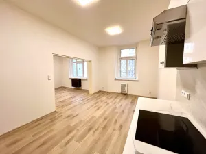 Pronájem bytu 2+1, Praha - Žižkov, Zelenky-Hajského, 70 m2