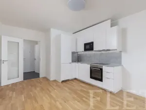 Pronájem bytu 1+kk, Praha - Nusle, Maroldova, 28 m2
