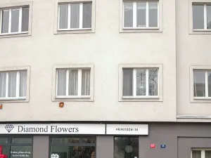 Pronájem bytu 3+kk, Praha - Vršovice, Přípotoční, 77 m2