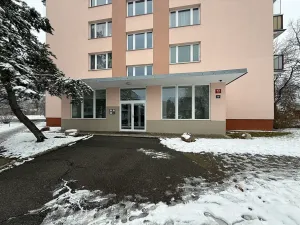 Pronájem bytu 1+kk, Praha - Braník, Vavřenova, 24 m2