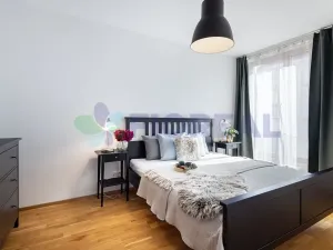 Pronájem bytu 2+kk, Praha - Žižkov, Hartigova, 45 m2
