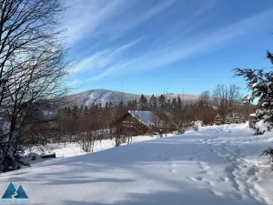 Prodej rodinného domu, Strážné, 180 m2