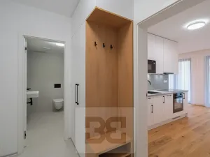 Pronájem bytu 1+kk, Praha - Košíře, Starokošířská, 40 m2
