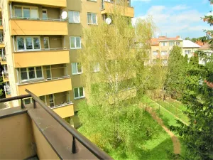 Pronájem bytu 2+1, Brno, Ječná, 56 m2