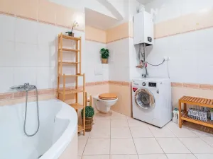 Prodej bytu 2+kk, České Budějovice, Dr. Stejskala, 77 m2