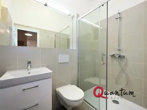 Pronájem bytu 1+1, Praha - Žižkov, Kubelíkova, 39 m2